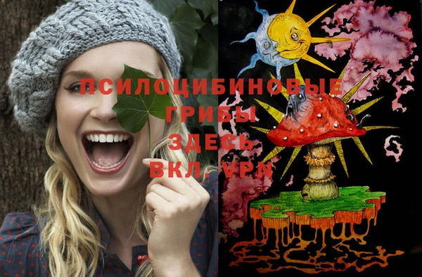 крисы Покачи