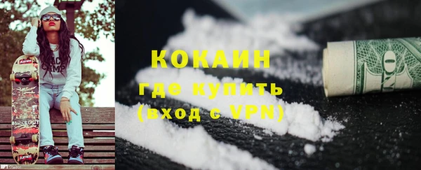 спиды Болотное