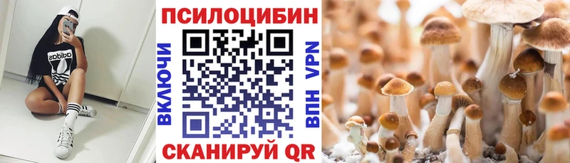 Галлюциногенные грибы GOLDEN TEACHER  сайты даркнета как зайти  Мурино 